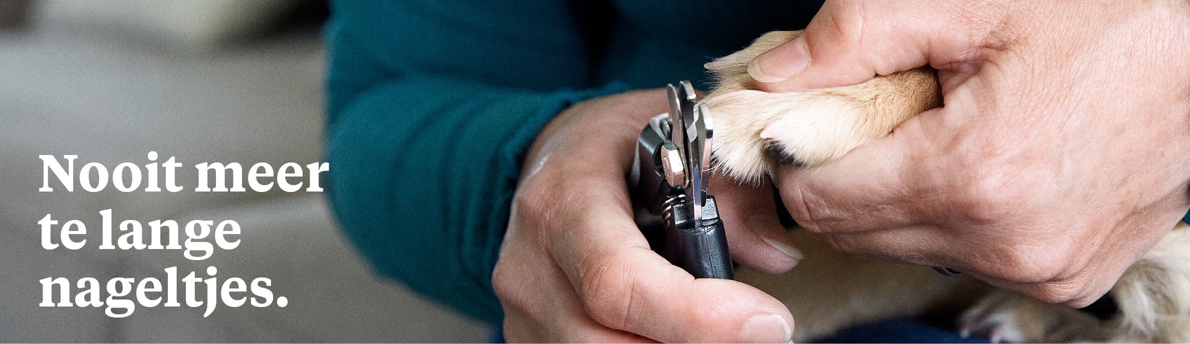 Nagelknipservice voor jouw hond - € 6.95 Nagelknipservice voor jouw hond - € 6.95